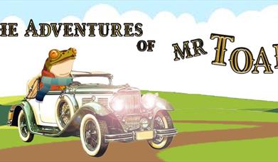 The Adventures of Mr Toad
