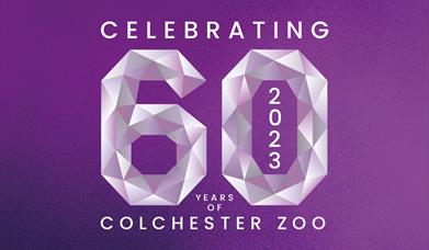Zoobilee Half Term
