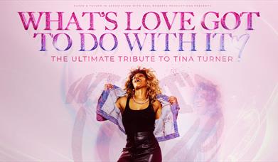 What's Love Got To Do With It?