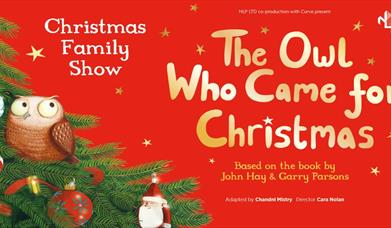 The Owl Who Came For Christmas