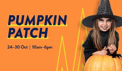 Pick Your Own Pumpkin at Lakeside!