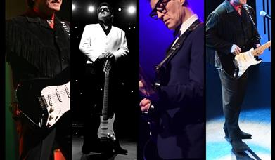 Roy Orbison & Friends