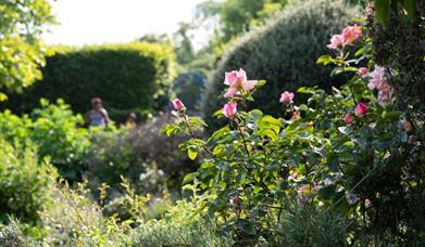 Lee Valley Regional Park - Country Park in Enfield, Waltham Abbey