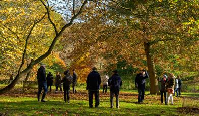 Autumn Photography Workshop
