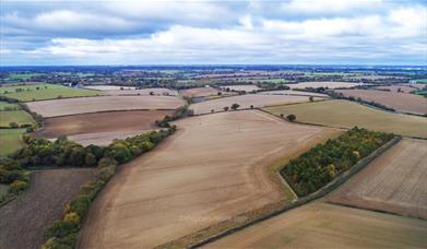 Essex Way Stage 3 - Pleshey to Terling