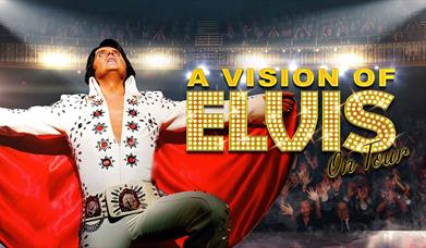 A Vision of Elvis