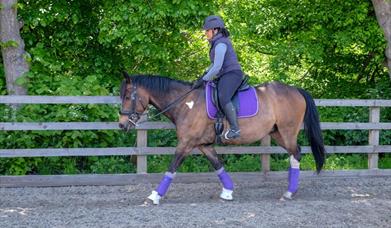 Lee Valley Riding School