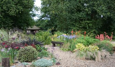 Planting for All Year Colour Course