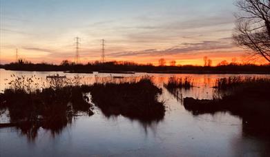 Bittern Roost Watch
