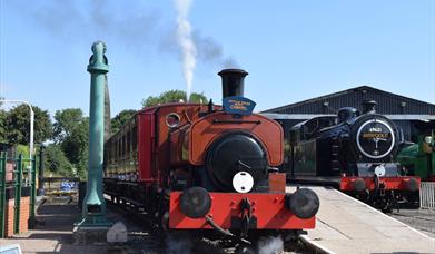 New Years Day Steam Train Rides