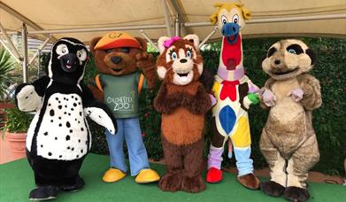Zoo Crew Celebrations