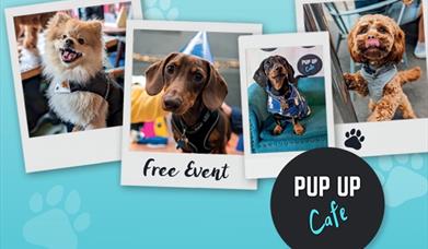 Pup Up Cafe