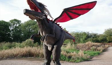 Day of the Dragon