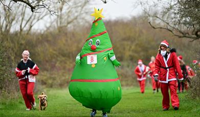Festive Fun Day