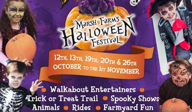 Halloween Festival