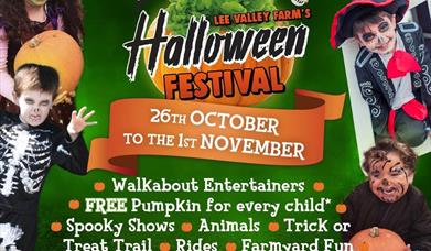 Halloween Festival