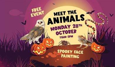 Meet the Animals