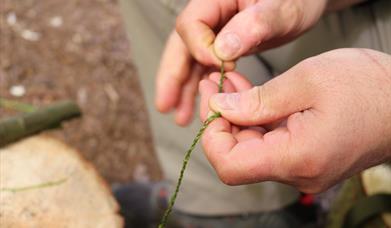 Bushcraft Workshop