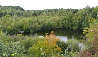 Chafford Gorges Nature Park Walk