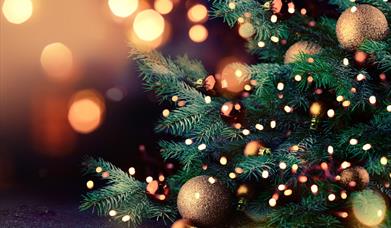 An evening with Father Christmas and Friends