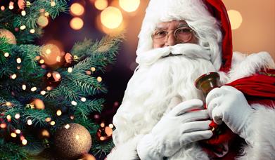 Father Christmas in front of a Christmas Tree