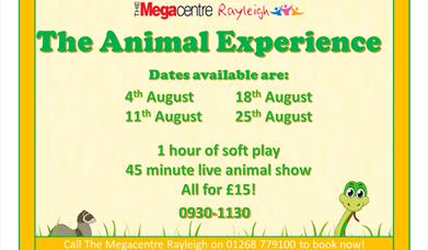 Animal Experience
