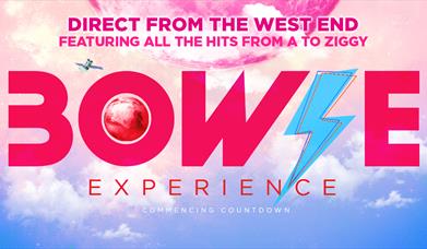 Bowie Experience