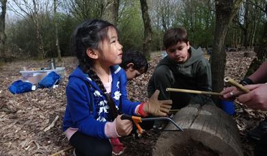 Family Forest Fun