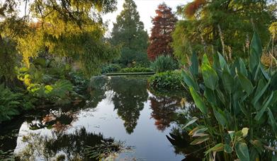 Beth Chatto Garden