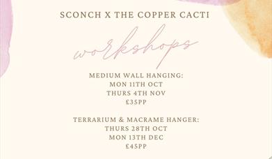 Sconch x The Copper Cacti Macramé and Terrarium Workshops