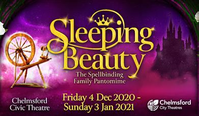 Sleeping Beauty Pantomime