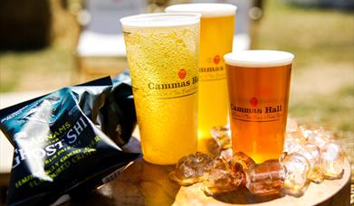 Beer Festival