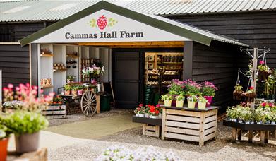 Entrance to Cammas Hall Farm