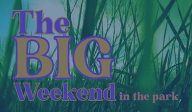 The Big Weekend in the park