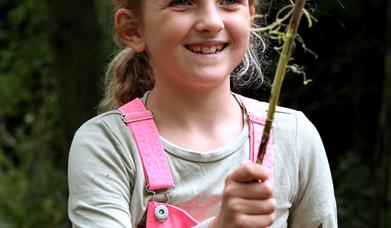 Bedfords Wizarding Wands For Families