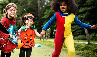 Crazy Costume Free Entry!