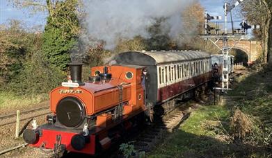 New Years Railway Steam Days