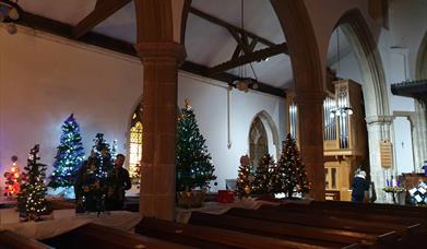 Christmas Tree Festival