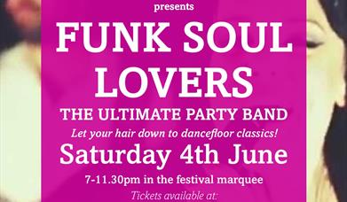 Funk Soul Lovers at Colne Engaine Festival