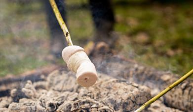 Chigwell Meadows Family Forest Fun