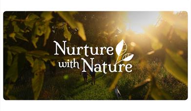 Nurture with Nature logo with trees and sunshine in the background