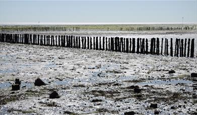 Cudmore Grove beach 