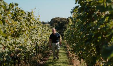 Tuffon Hall Jubilee Wine Tasting
