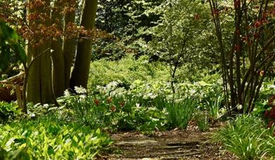 Mothers Day at the Gardens