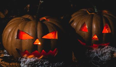 Dark and Twisted Tales for Adults
