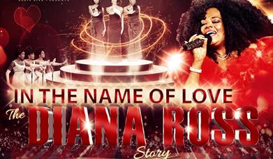 The Diana Ross Story