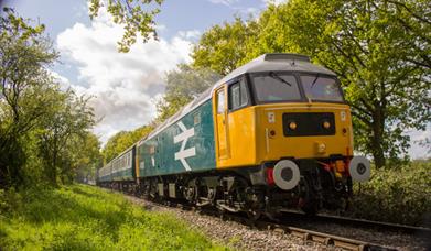 Autumn Diesel Gala at Epping Ongar Railway