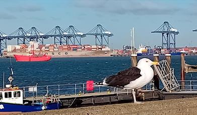 Dovercourt to Harwich stations walk through history