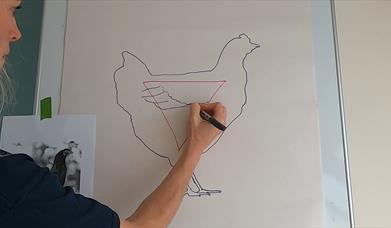 Beginners Drawing: Drawing With Shapes
