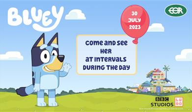 NEW for 2023! Come and See Bluey